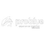 problue 2
